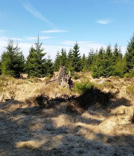 Li Mangon * Francorchamps