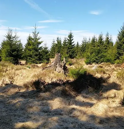 Li Mangon * Francorchamps